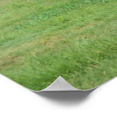 Hickenlooper Monument Poster (Ecke)