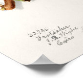 Hickory (Carya) Fruchtfarben Poster (Ecke)