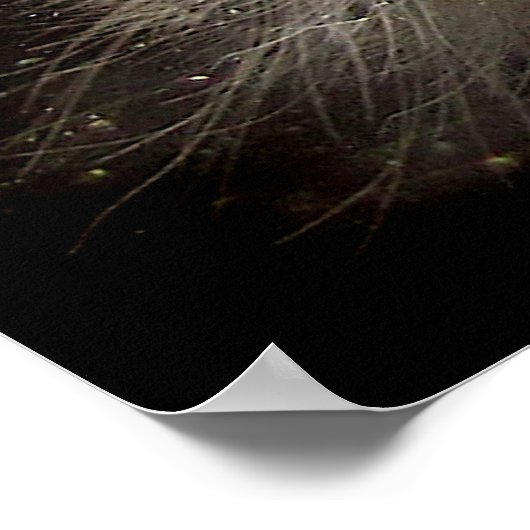 Hickory Tussock Raupe Poster (Ecke)