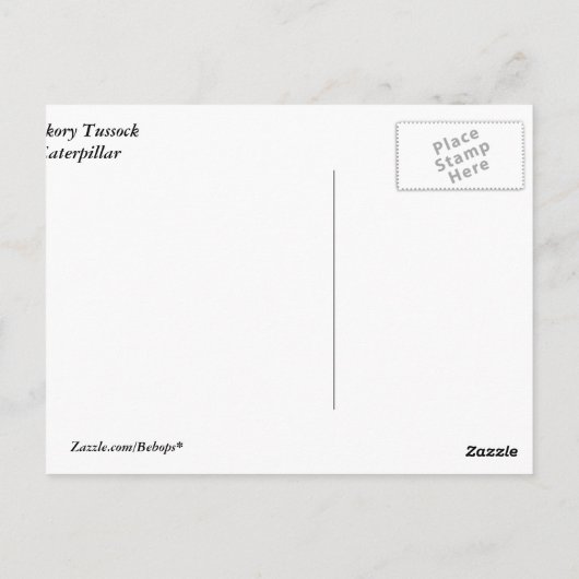 Hickory Tussock Raupe Postkarte (Rückseite)