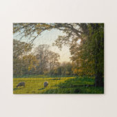 Hidcote, Cotswolds Puzzle (Horizontal)