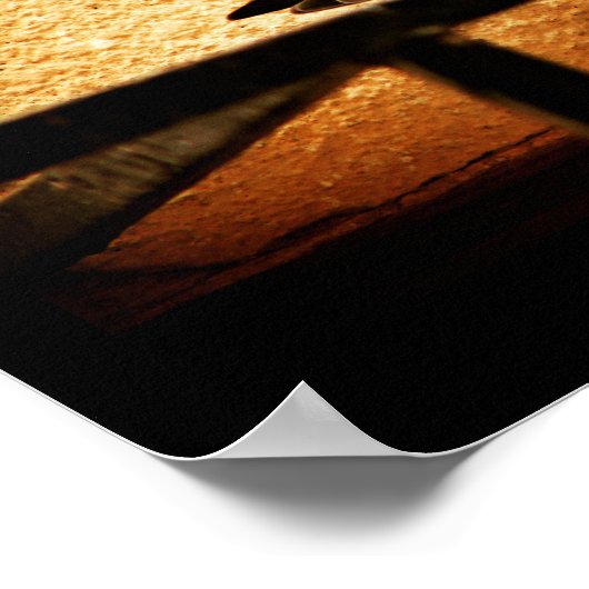 Hidden Beauty Poster (Ecke)