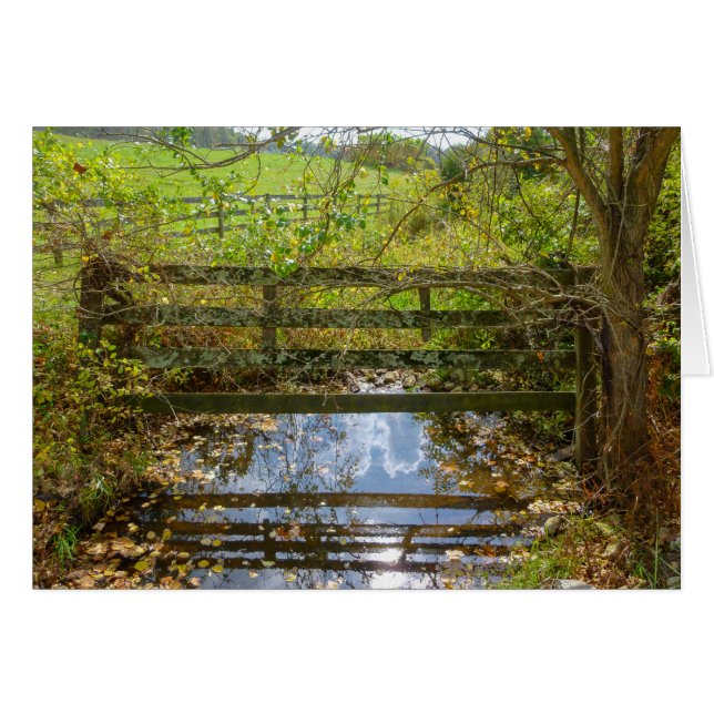 Hidden Creek (Vorderseite (Horizontal))