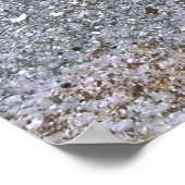 Hidden Dragonete Poster (Ecke)