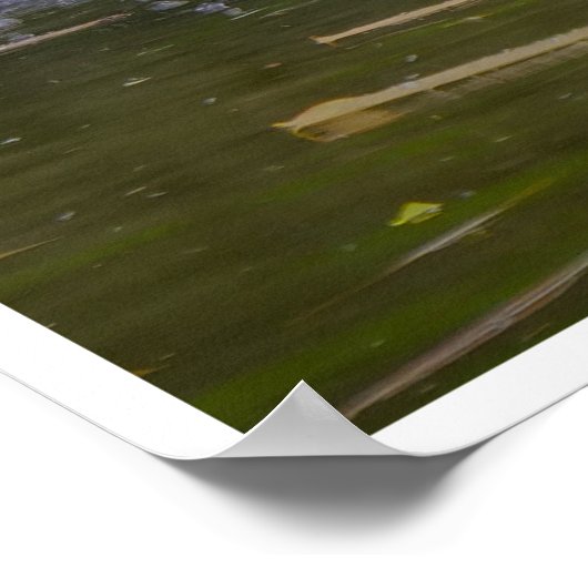 Hidden Garden Cascade Poster (Ecke)