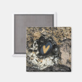 Hidden Heart Rock on Rock Magnet (Vorderseite/Rückseite)