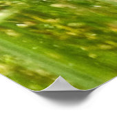 "Hidden Heron" (Landschaft) Poster (Ecke)