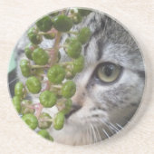 Hidden Kitten Untersetzer (Vorne)