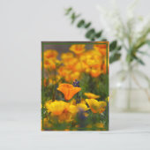 Hidden Poppy Postkarte (Stehend Vorderseite)