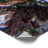 Hidden Scorpionfish Poster (Ecke)