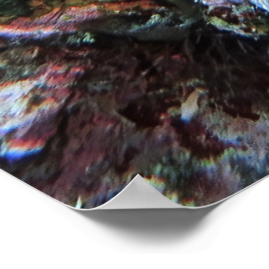 Hidden Scorpionfish Poster (Ecke)