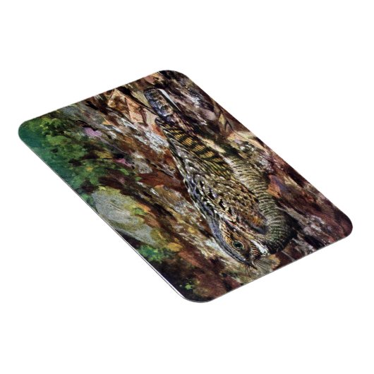 Hidden Whippoorwill Magnet (Rechte Seite)