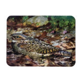 Hidden Whippoorwill Magnet (Horizontal)
