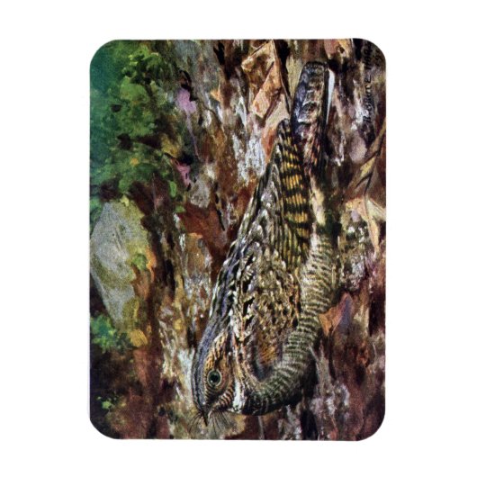 Hidden Whippoorwill Magnet (Vertikal)