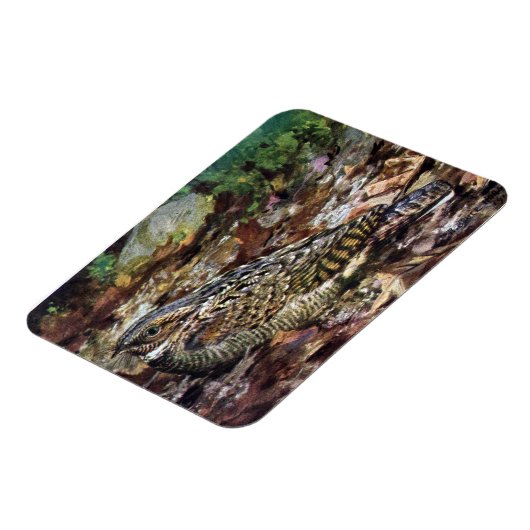 Hidden Whippoorwill Magnet (Linke Seite)