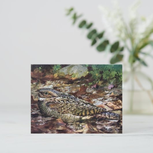 Hidden Whippoorwill Postkarte (Stehend Vorderseite)