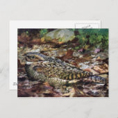 Hidden Whippoorwill Postkarte (Vorne/Hinten)