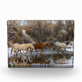 Hideout Horse Ranch Fotoblock (Vorderseite)