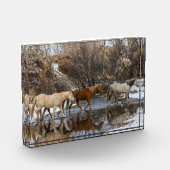 Hideout Horse Ranch Fotoblock (Links)