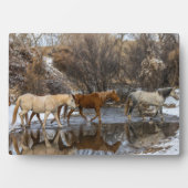 Hideout Horse Ranch Fotoplatte (Vorderseite)