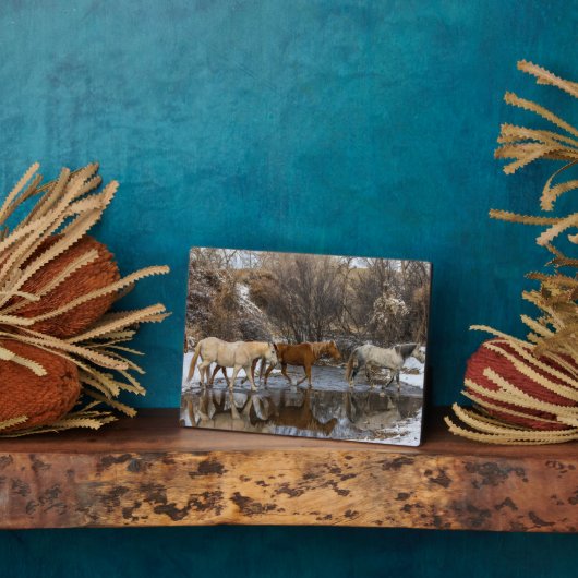 Hideout Horse Ranch Fotoplatte (Seite)