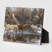 Hideout Horse Ranch Fotoplatte (Seite)