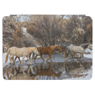 Hideout Horse Ranch iPad Air Hülle