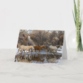 Hideout Horse Ranch Karte (Vorderseite)