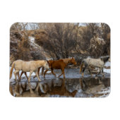 Hideout Horse Ranch Magnet (Horizontal)
