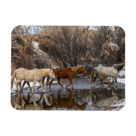 Hideout Horse Ranch Magnet (Horizontal)