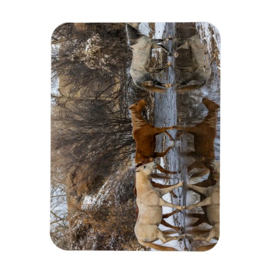 Hideout Horse Ranch Magnet (Vertikal)