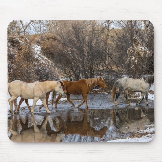 Hideout Horse Ranch Mousepad (Vorne)