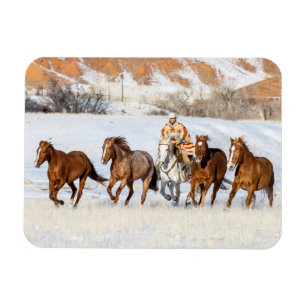 Hideout Horse Ranch, Pferdehüter und Pferde Magnet