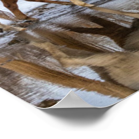 Hideout Horse Ranch Poster (Ecke)