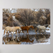 Hideout Horse Ranch Poster (Vorne)