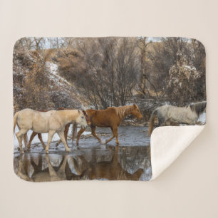 Hideout Horse Ranch Sherpadecke