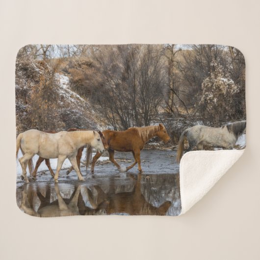 Hideout Horse Ranch Sherpadecke (Vorderseite (Horizontal))