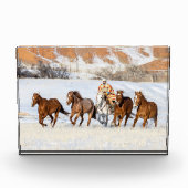 Hideout Horse Ranch, Wrangler und Pferde Fotoblock (Vorderseite)