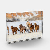 Hideout Horse Ranch, Wrangler und Pferde Fotoblock (Links)