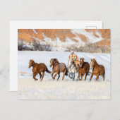 Hideout Horse Ranch, Wrangler und Pferde Postkarte (Vorne/Hinten)