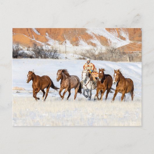 Hideout Horse Ranch, Wrangler und Pferde Postkarte (Vorderseite)