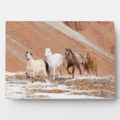 Hideout Ranch mit kleinem Pferdebestand im Schnee Fotoplatte (Vorderseite)