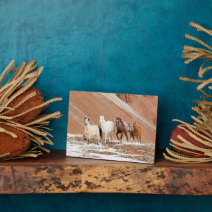 Hideout Ranch mit kleinem Pferdebestand im Schnee Fotoplatte