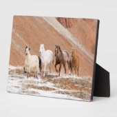 Hideout Ranch mit kleinem Pferdebestand im Schnee Fotoplatte (Seite)