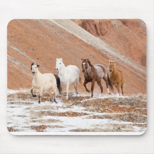 Hideout Ranch mit kleinem Pferdebestand im Schnee Mousepad (Vorne)