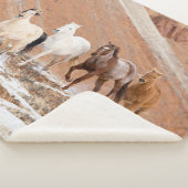 Hideout Ranch mit kleinem Pferdebestand im Schnee Sherpadecke (3/4)