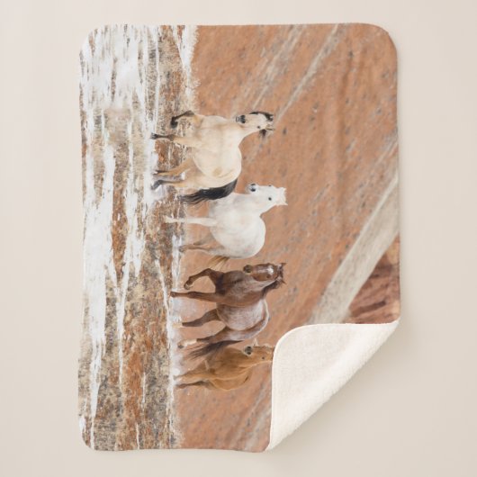 Hideout Ranch mit kleinem Pferdebestand im Schnee Sherpadecke (Vorderseite)