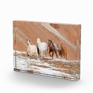 Hideout Ranch mit kleiner Herde Pferde im Schnee Fotoblock