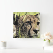 "Hiding Cheetah" Quadratische Wanduhr (Zuhause)