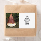 "HIDING GNOME"-SCHIFFSKENNZEICHNUNG (Insitu)